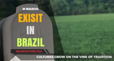 Do Mailboxes Exist in Brazil? Exploring Postal Systems and Culture