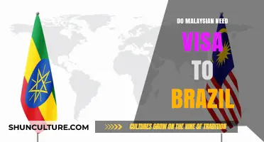 Do Malaysians Need a Visa to Visit Brazil? A Travel Guide