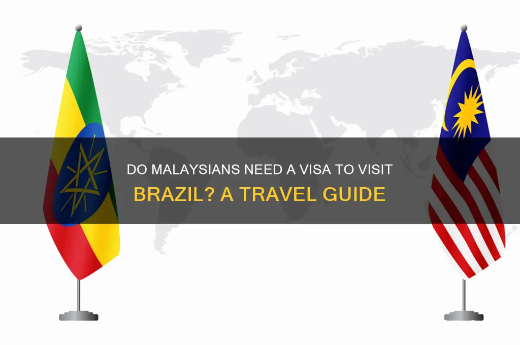 do malaysian need visa to brazil