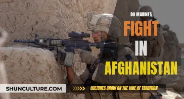 The Marines' Afghan Theater: A Story of Valor and Sacrifice