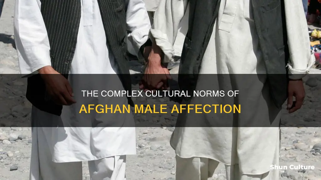 do men kiss boys on the mouth in afghanistan