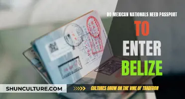 Travel Requirements for Mexicans Visiting Belize