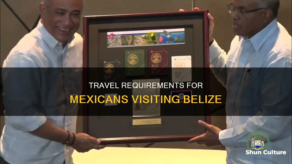 do mexican nationals need passport to enter belize