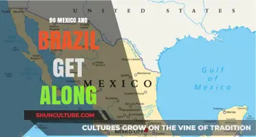Mexico and Brazil Relations: A Look at Their Diplomatic Ties and Cooperation
