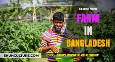 Exploring Bangladesh's Agricultural Dominance: Do Most Citizens Farm for a Living?