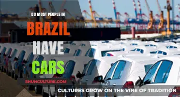 Car Ownership in Brazil: How Common Are Vehicles Among Brazilians?