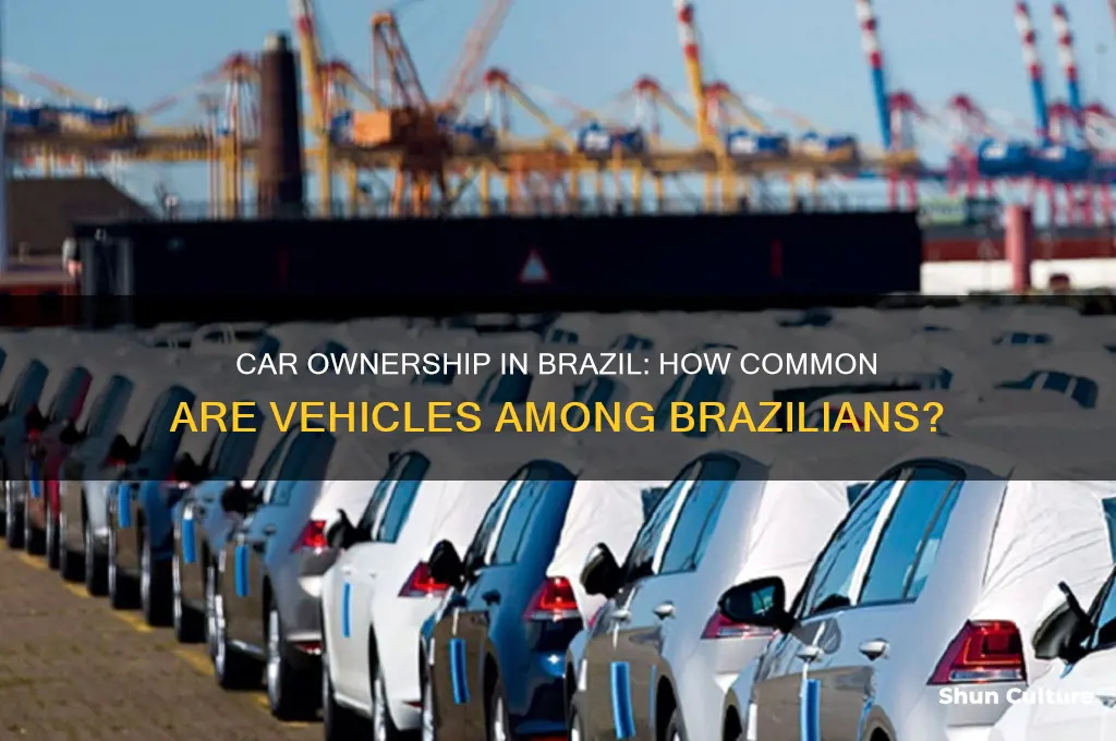 do most people in brazil have cars