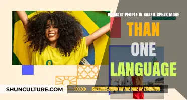 Brazil's Multilingual Reality: Do Most Brazilians Speak More Than One Language?