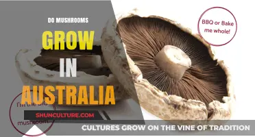 Mushroom Cultivation in Australia: Where and How?