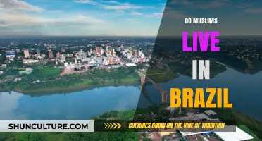 Exploring Brazil's Muslim Community: Presence, Culture, and Integration