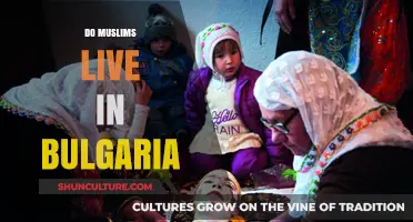 Exploring the Rich Cultural Tapestry: Muslims in Bulgaria
