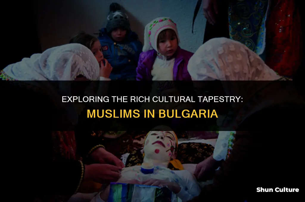 do muslims live in bulgaria