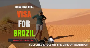 Do Namibians Need a Visa for Brazil? Travel Requirements Explained