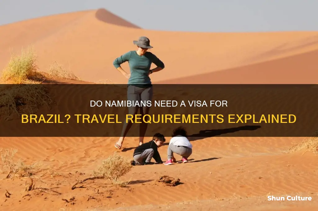 do namibians need a visa for brazil