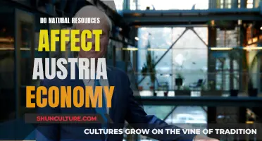 Austria's Economy: Impact of Natural Resources