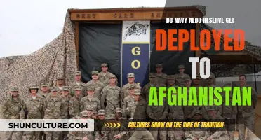 The Deployment Question: Understanding the Navy's AEDO Reserve Strategy in Afghanistan