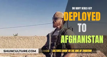 Navy SEALs: Afghanistan's Unseen Warriors