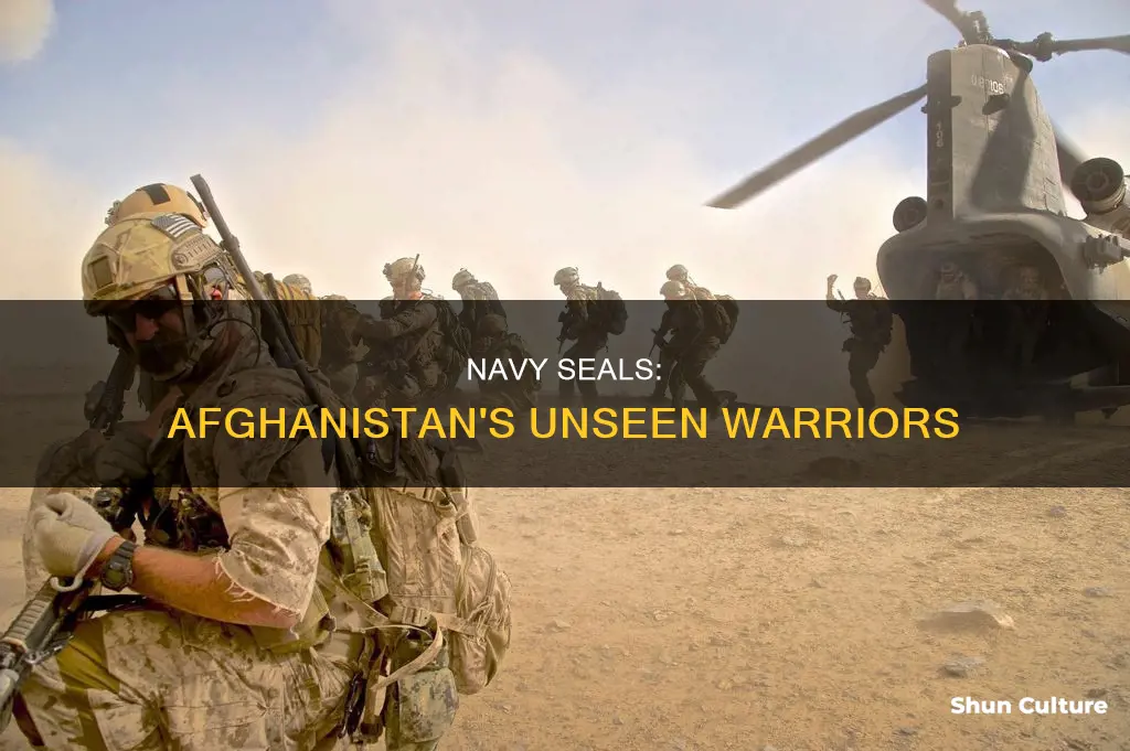 do navy seals gey deployed to afghanistan