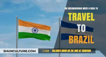 Nicaraguan Travelers: Visa Requirements for Visiting Brazil Explained