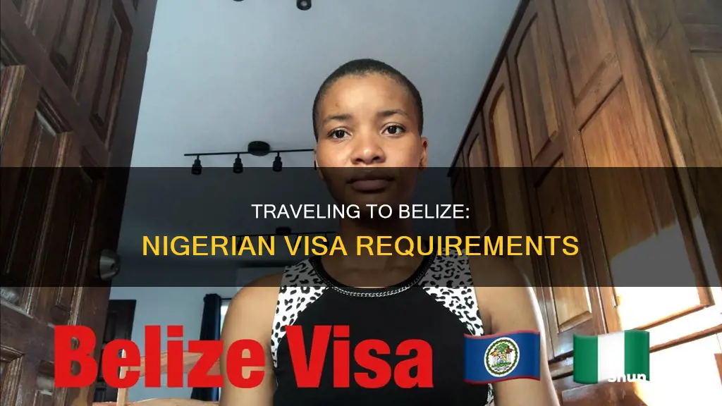 do nigerian need visa to belize