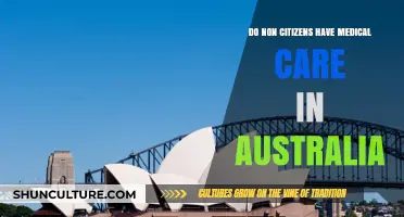 Medical Care Access for Non-Citizens in Australia
