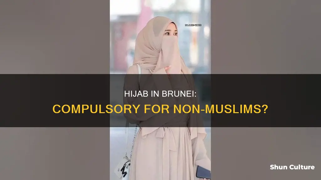 do non muslims have to wear a hijab in brunei