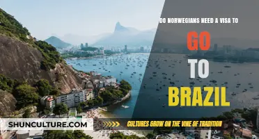Do Norwegians Need a Visa to Visit Brazil? Travel Guide