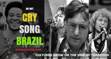 Do Not Cry Song: Brazil's Emotional Anthem Explored and Celebrated