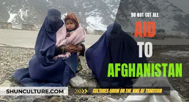 Strategic Support: Why Cutting All Aid to Afghanistan Is Shortsighted