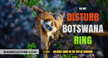 Discover the Meaning Behind Botswana's Do Not Disturb Ring Trend