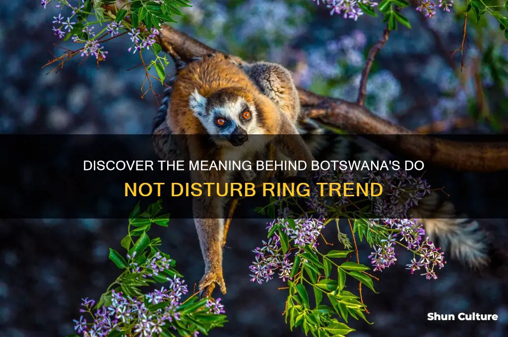 do not disturb botswana ring