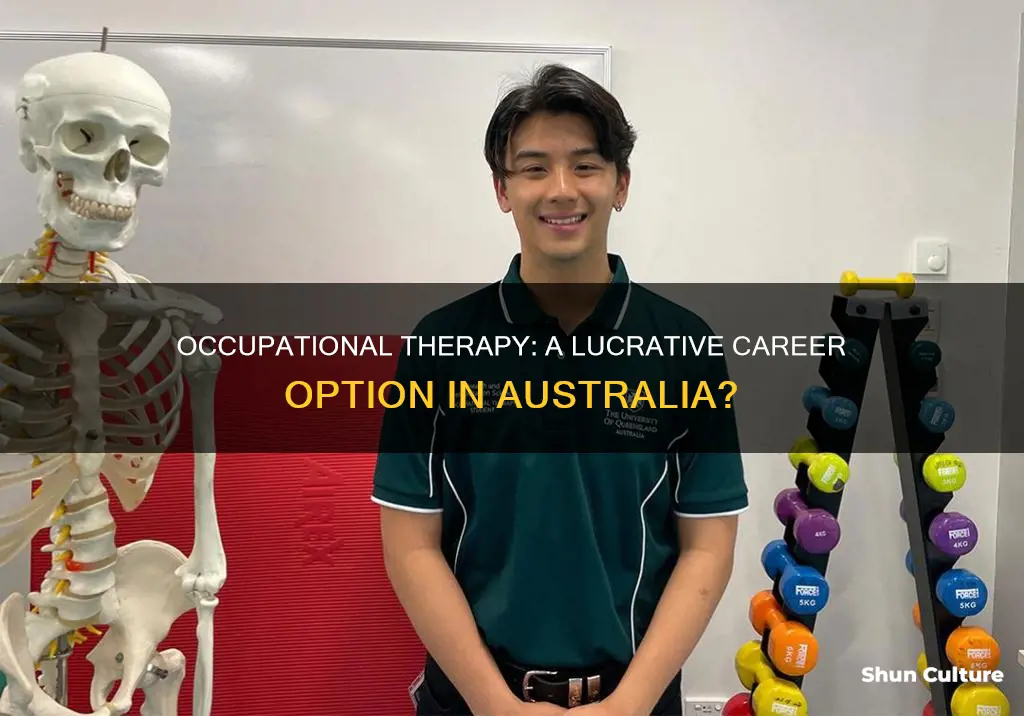 do occupational therapists make good money in australia