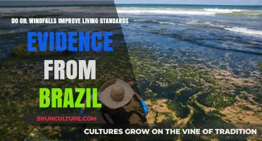 Brazil's Oil Windfalls: Impact on Living Standards Examined