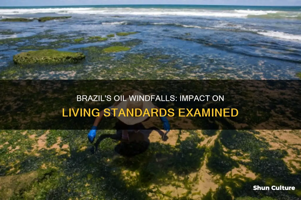 do oil windfalls improve living standards evidence from brazil