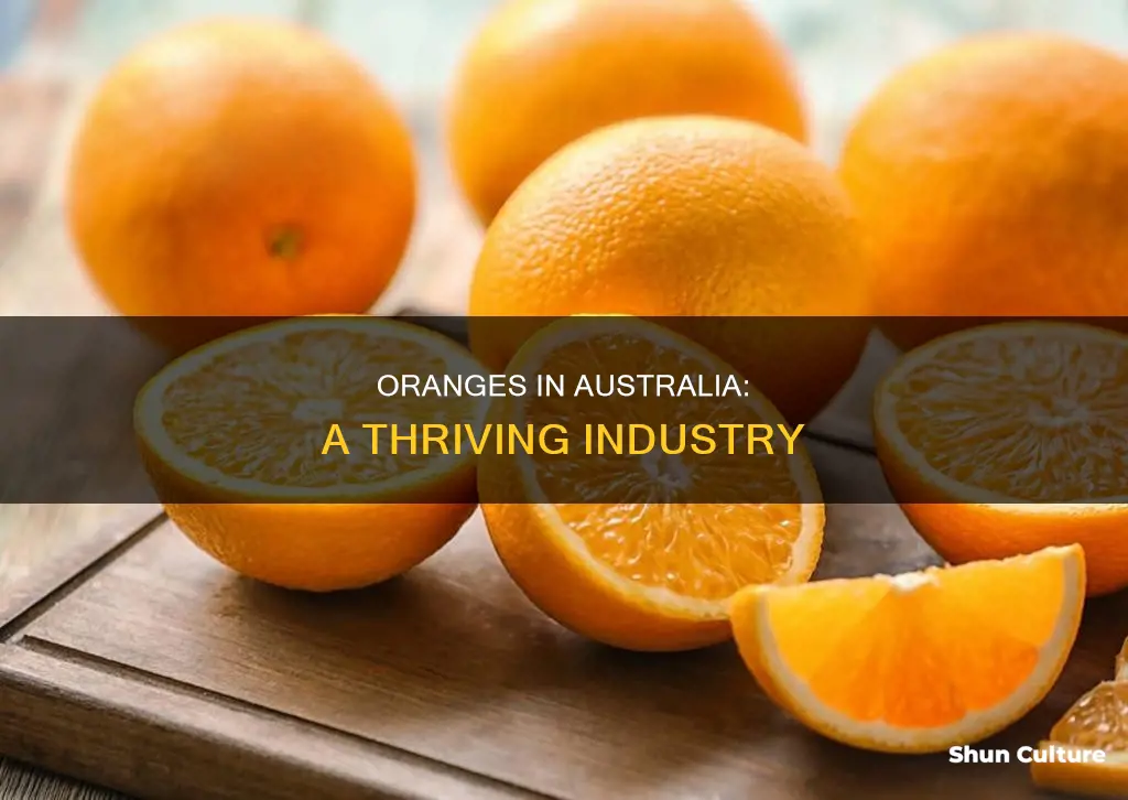 do oranges grow in australia
