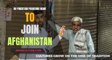 The Complex Identity Politics of Pakistan's Pashtuns: A Desire for Unity or Separation?