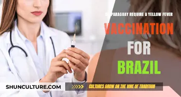 Paraguay's Yellow Fever Vaccination Requirements for Brazil Travelers Explained