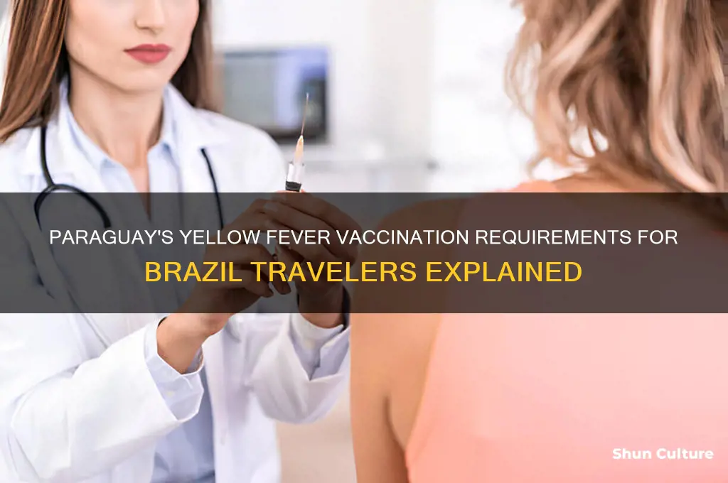 do paraguay require a yellow fever vaccination for brazil