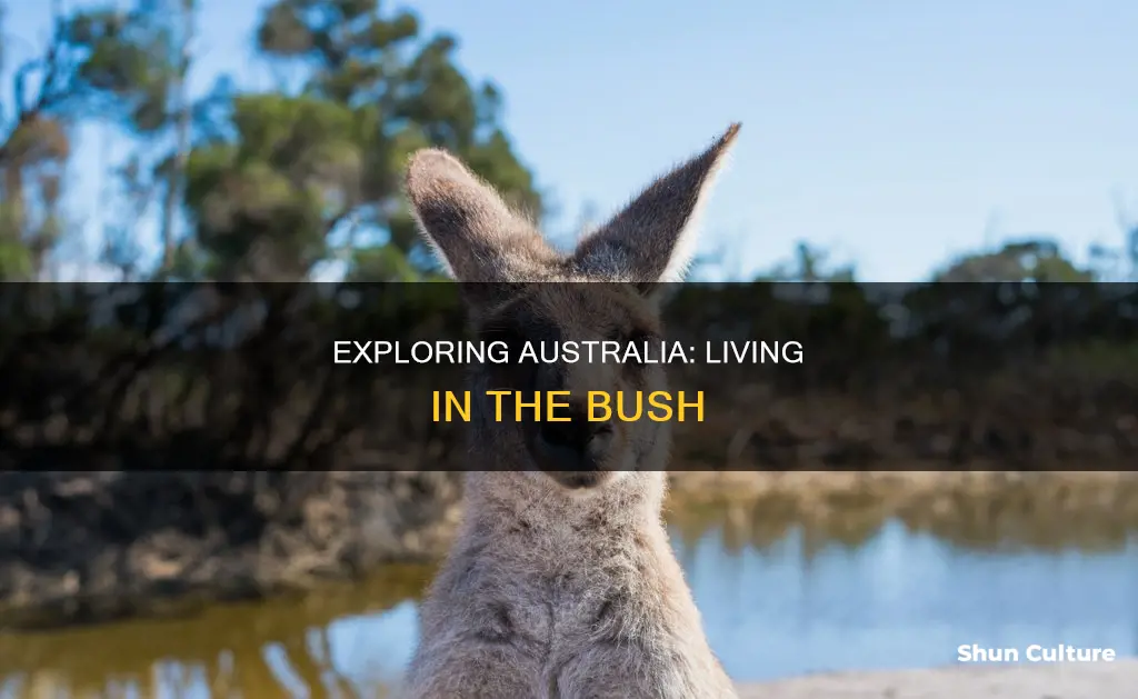 do people actually live in the australian bush