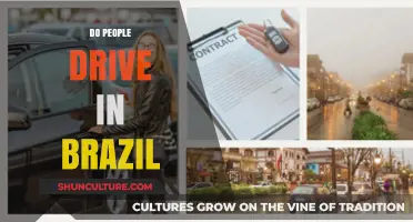 Exploring Brazil's Roads: Do People Drive in Brazil?