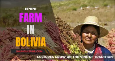 Farming in Bolivia: A Look at Agricultural Practices