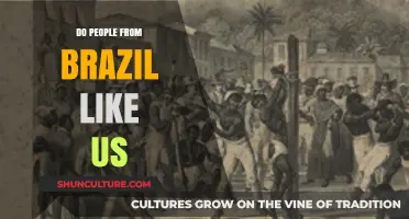 Do Brazilians Like Americans? Exploring Cultural Connections and Perceptions