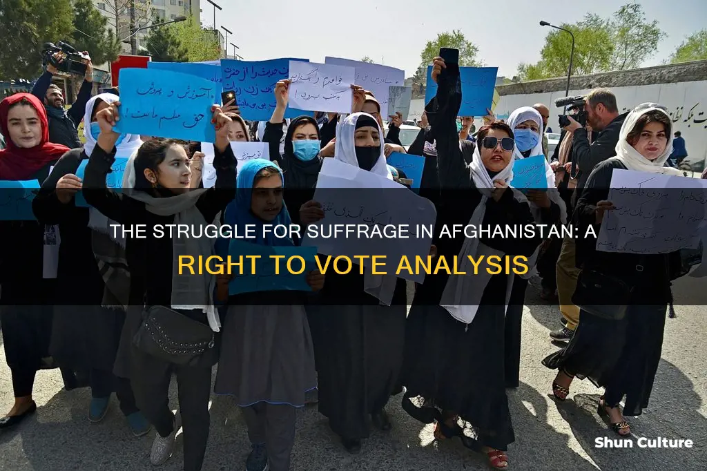 do people get the right to vote in afghanistan