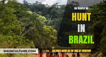 Exploring Brazil's Hunting Culture: Traditions, Regulations, and Modern Practices