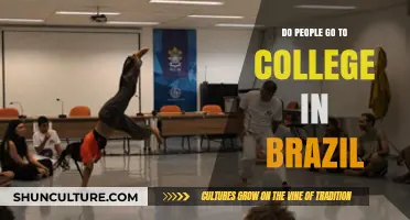 Exploring Higher Education: Do People Go to College in Brazil?
