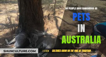 Are Kangaroos Really Pets in Australia?