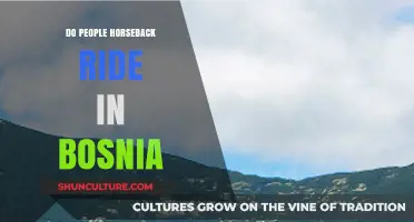 Exploring Bosnia's Equestrian Culture: Do Locals and Tourists Horseback Ride?