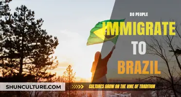 Exploring Brazil's Immigration Trends: Who Moves to the Country and Why?