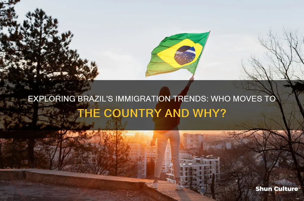 do people immigrate to brazil