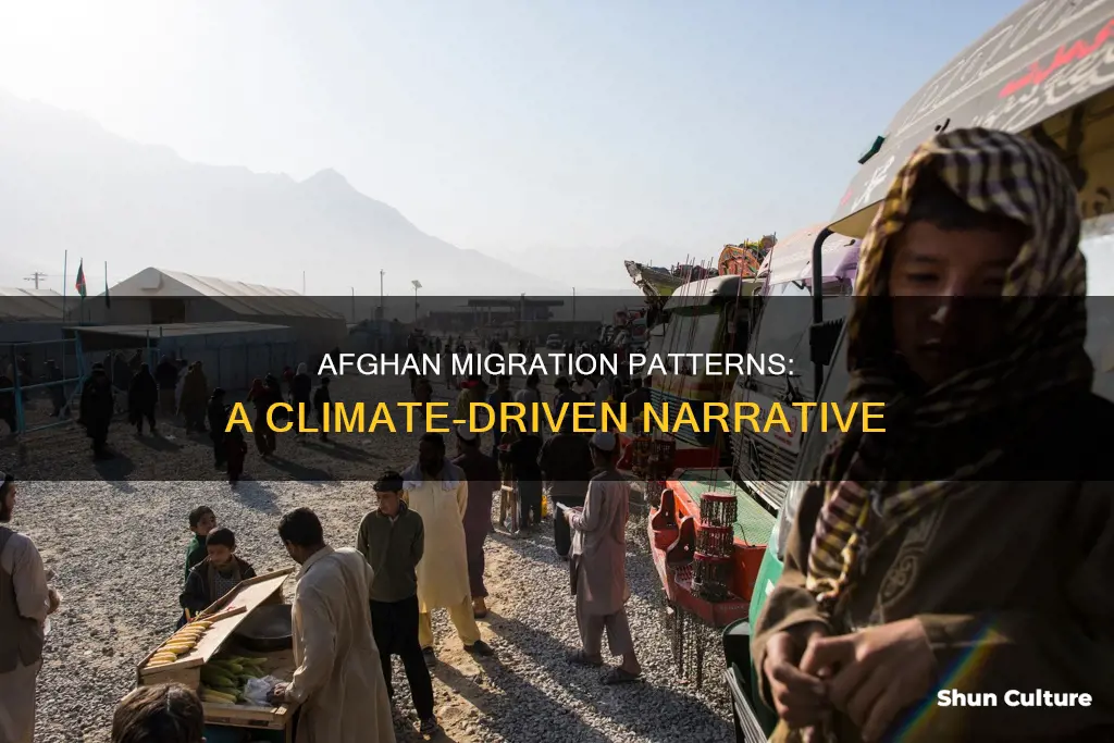 do people in afghanistan move to warm or cold places